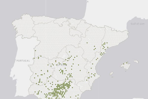 Parcelas SIGPAC: vista del mapa