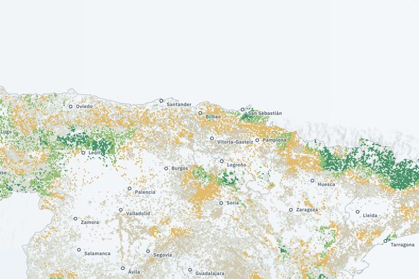 Setas y bosques: vista del mapa